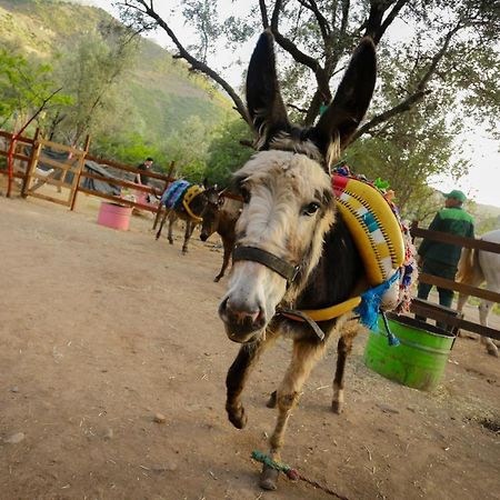 Ferme By Ikalimo Otel Ourika Dış mekan fotoğraf