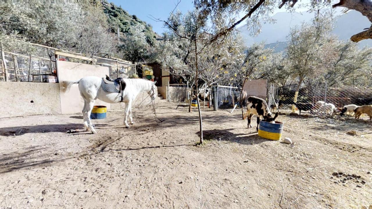 Ferme By Ikalimo Otel Ourika Dış mekan fotoğraf