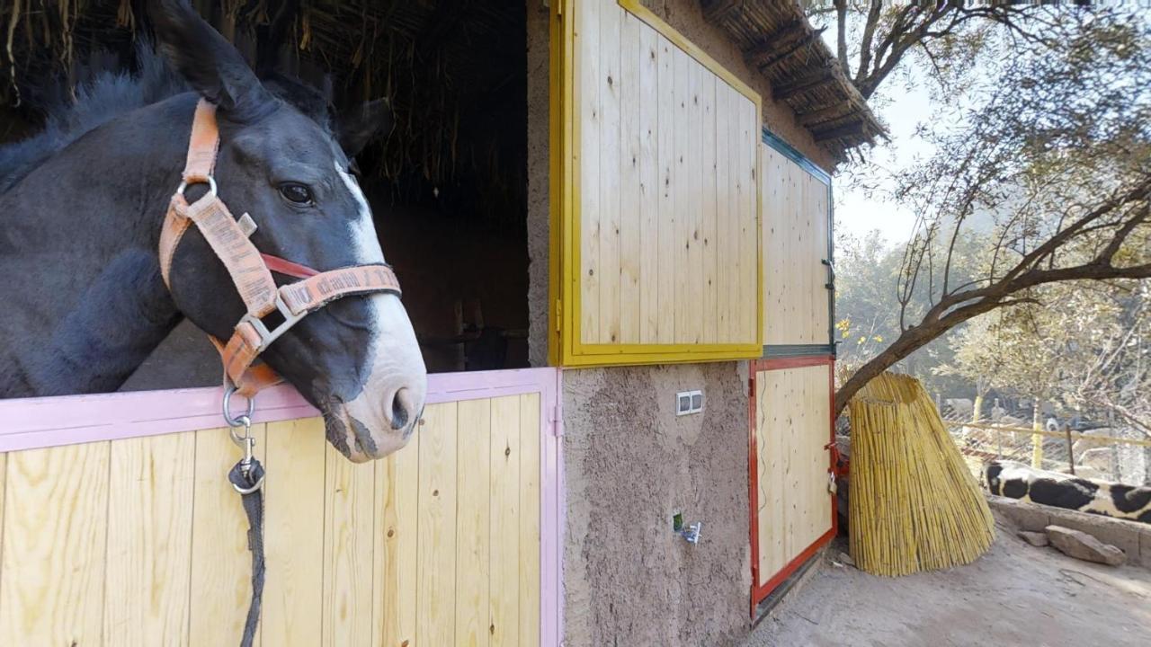 Ferme By Ikalimo Otel Ourika Dış mekan fotoğraf