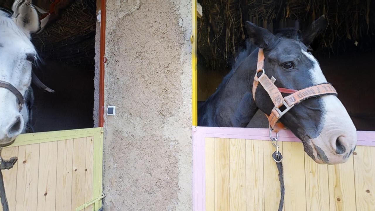 Ferme By Ikalimo Otel Ourika Dış mekan fotoğraf