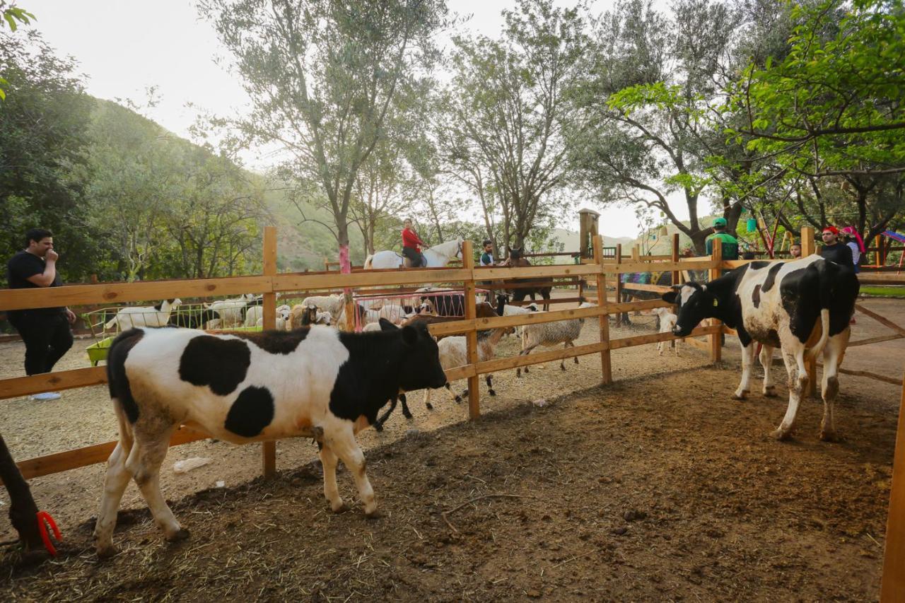Ferme By Ikalimo Otel Ourika Dış mekan fotoğraf