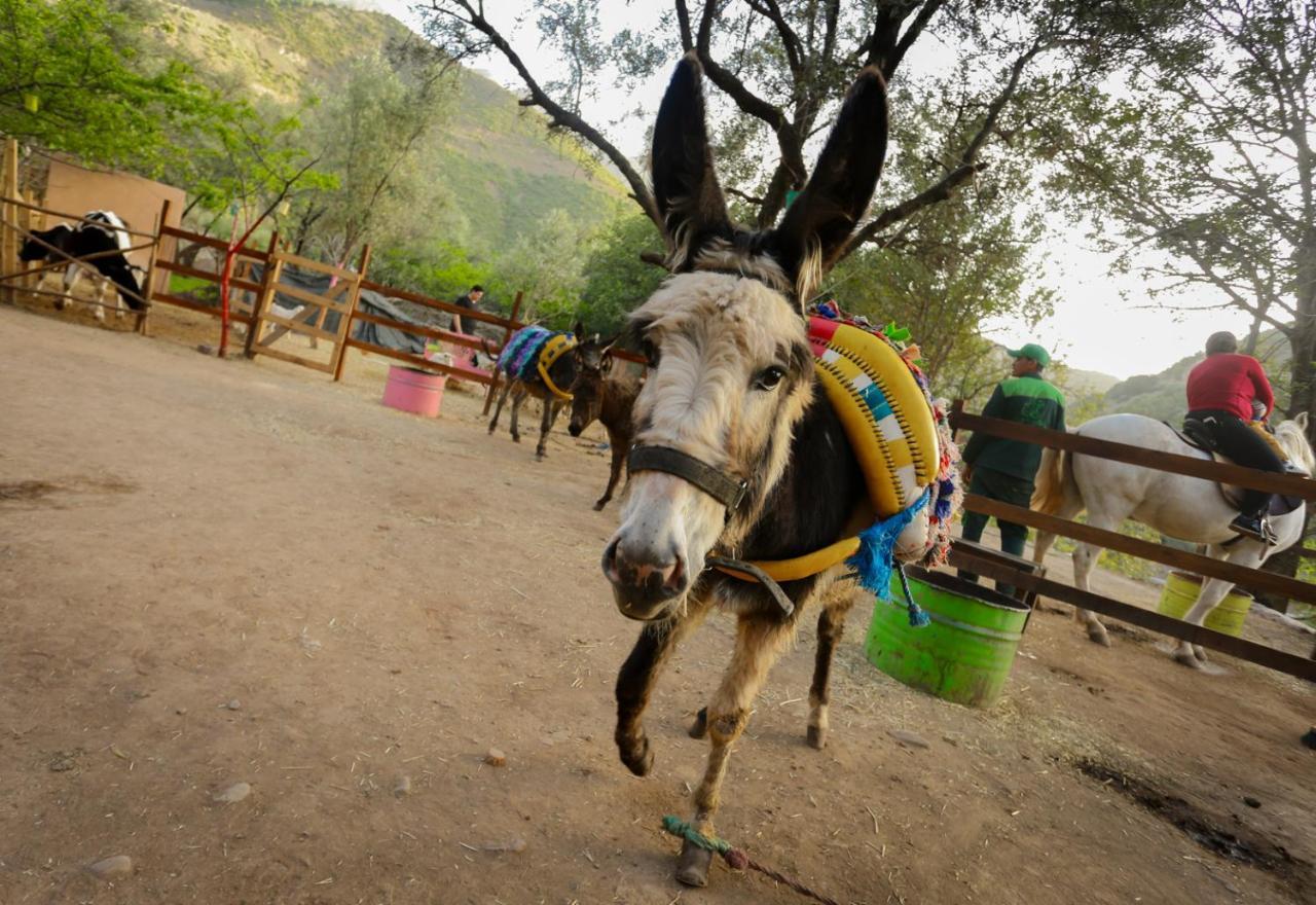 Ferme By Ikalimo Otel Ourika Dış mekan fotoğraf