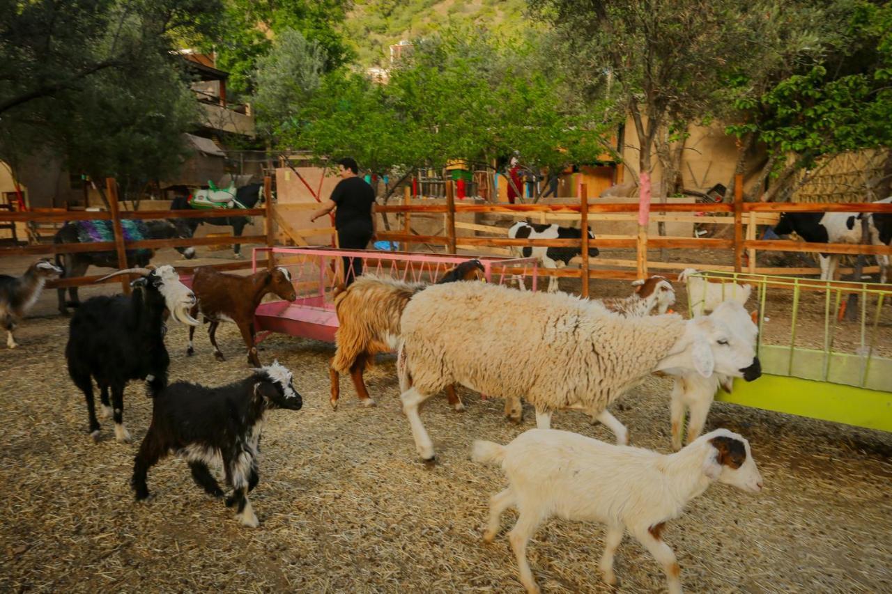 Ferme By Ikalimo Otel Ourika Dış mekan fotoğraf